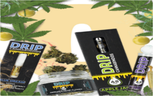 Common Misconceptions