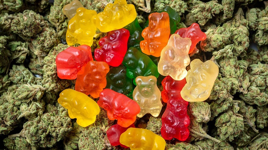 The Evolution and Importance of CBD Gummies in Long-Term Body Treatment